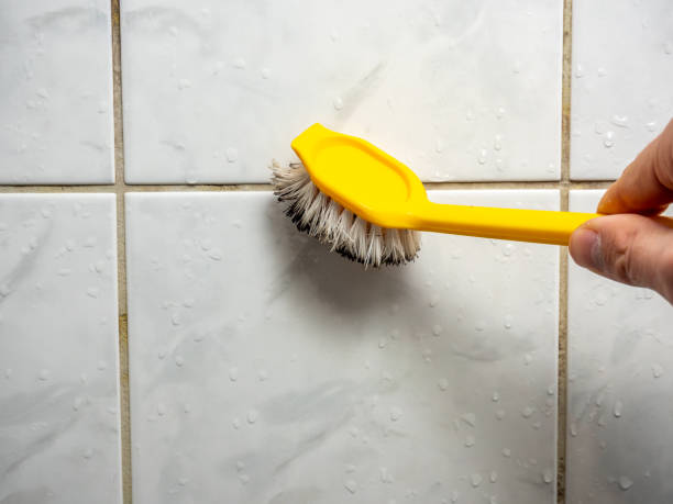 Best Best Mold Removal Companies  in Larned, KS