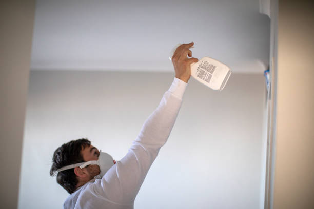Best Emergency Mold Removal  in Larned, KS