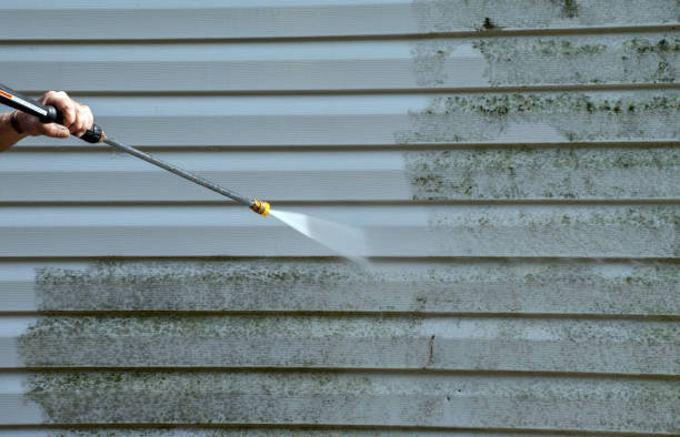 Best Best Mold Removal Companies  in Larned, KS