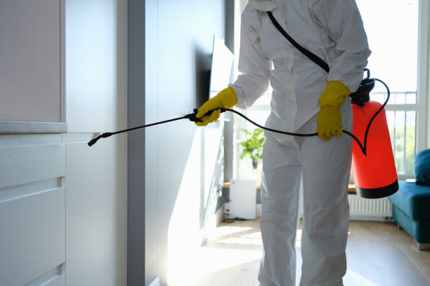 Best Black Mold Removal  in Larned, KS