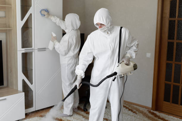 Best Attic Mold Removal  in Larned, KS