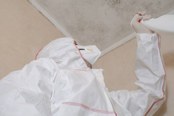 Best Crawl Space Mold Removal  in Larned, KS