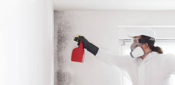 Best Toxic Mold Removal  in Larned, KS