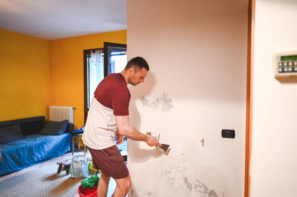 Larned, KS Mold Removal Company