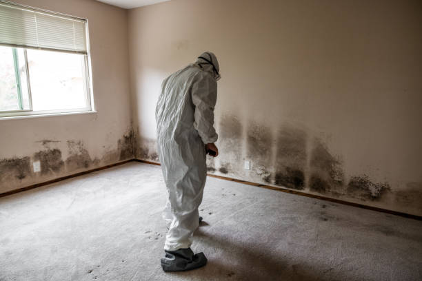 Best Water Damage Restoration  in Larned, KS