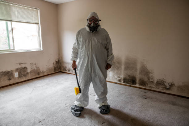 Best Affordable Mold Removal  in Larned, KS