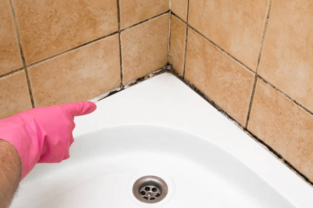 Best Residential Mold Removal  in Larned, KS